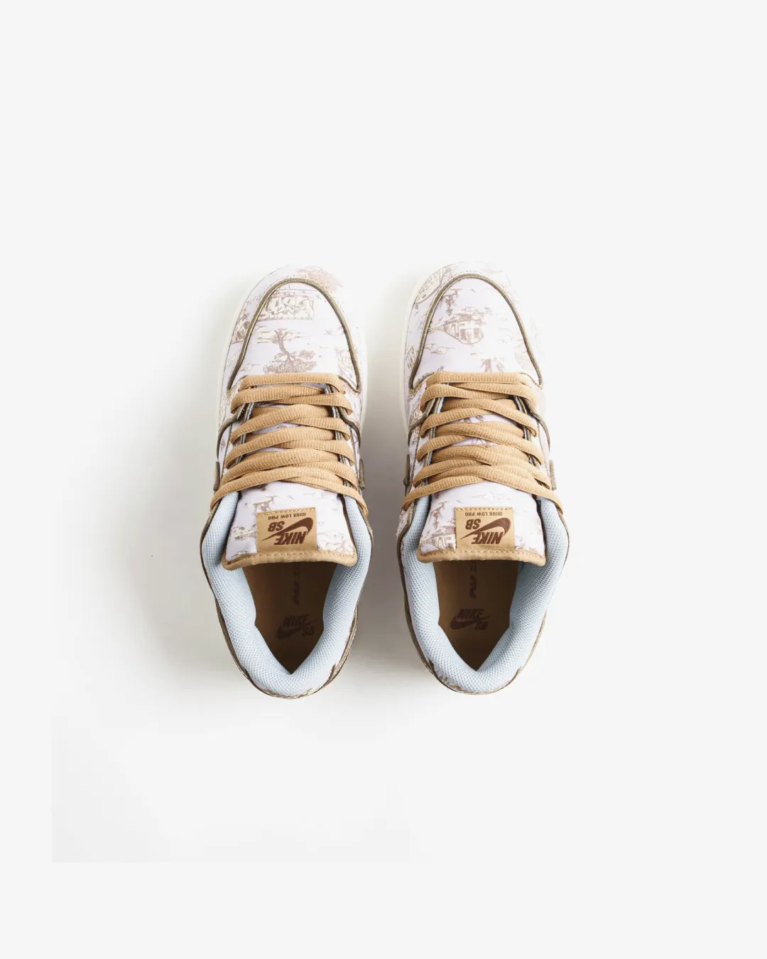 Nike SB City of Style Dunk Low Pro Premium Shoes