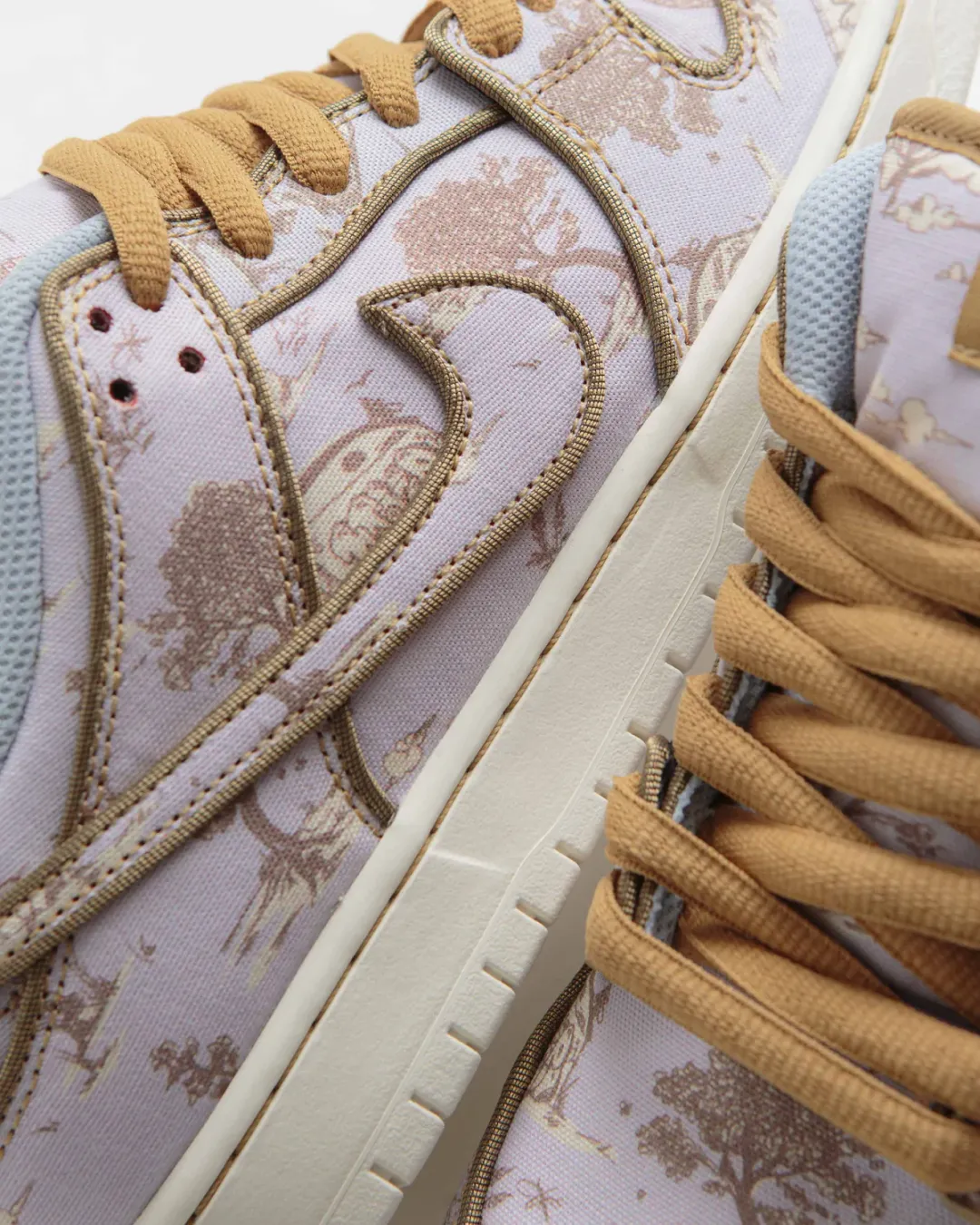 Nike SB City of Style Dunk Low Pro Premium Shoes