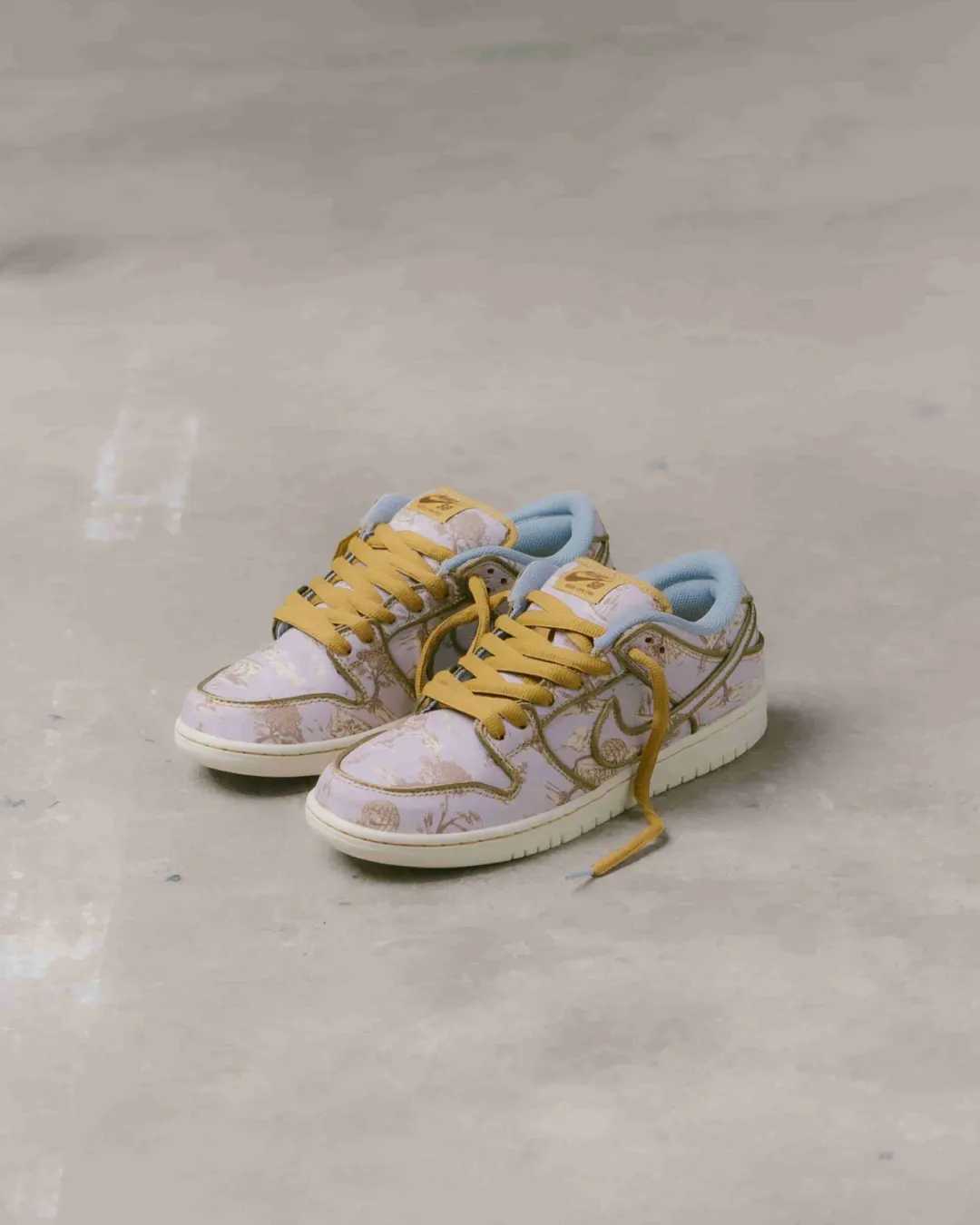 Nike SB City of Style Dunk Low Pro Premium Shoes